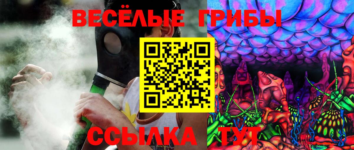 Хасавюрт  Псилоцибиновые грибы Cubensis  Псилоцибиновые грибы Psilocybe  Вход с VPN 